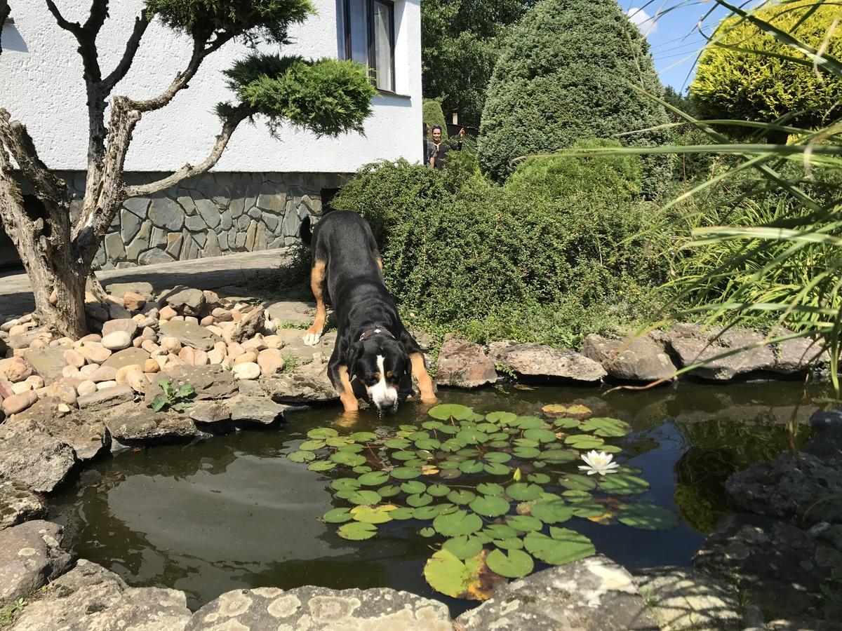 Vila Verunka 플젠 외부 사진